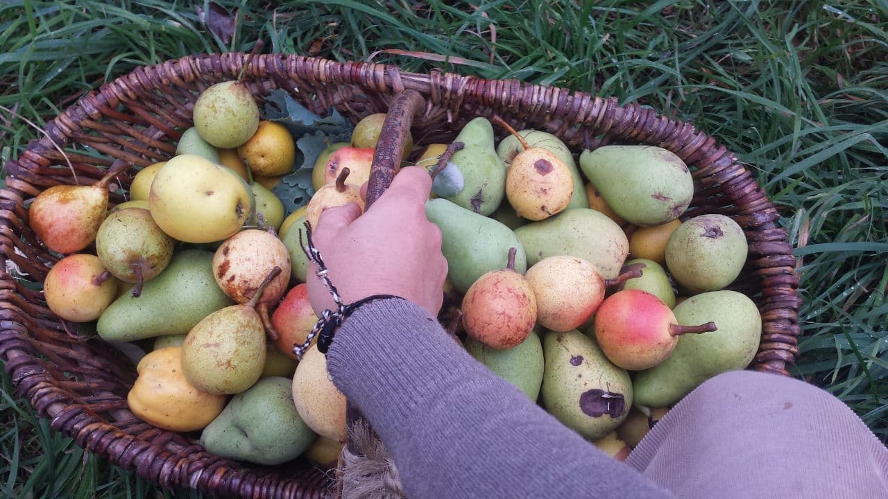 Streuobstwiese